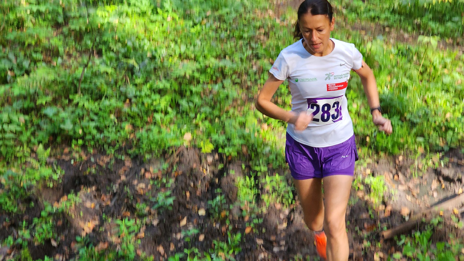 Ступино, день города, массовый забег