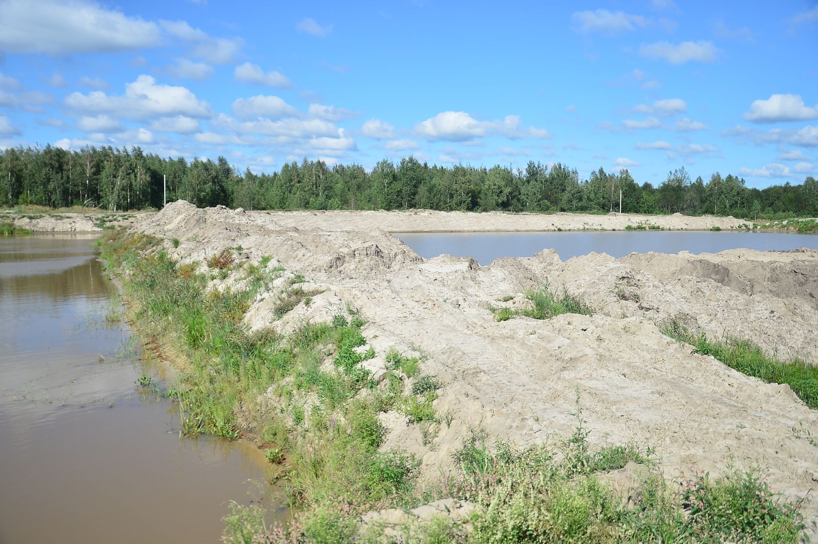 #Долгуша#рыбхоз#БольшаяШатура#развитие