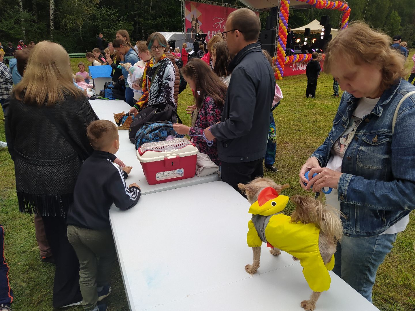 нахабино, животные, выставка, день города,