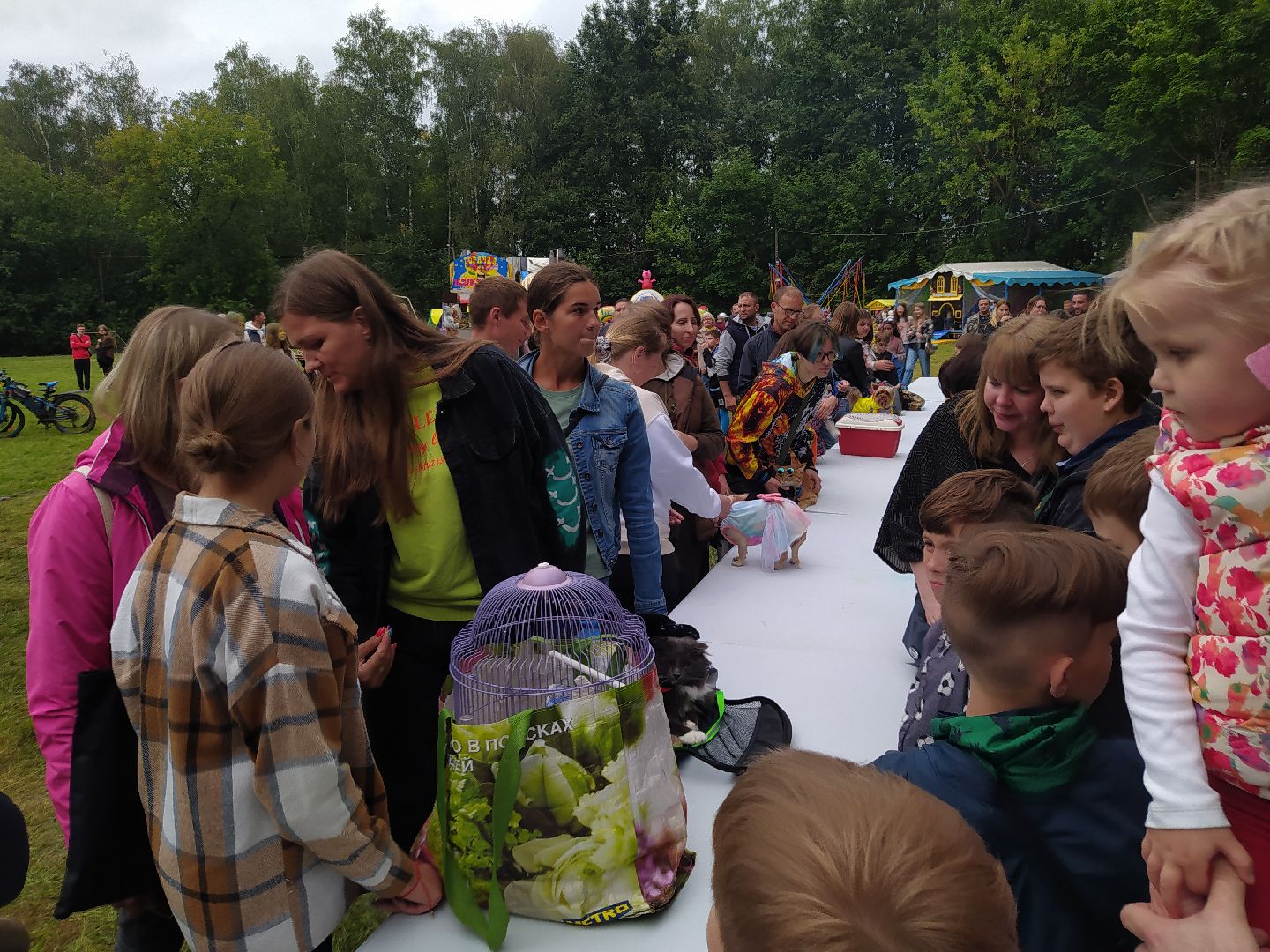 нахабино, животные, выставка, день города,