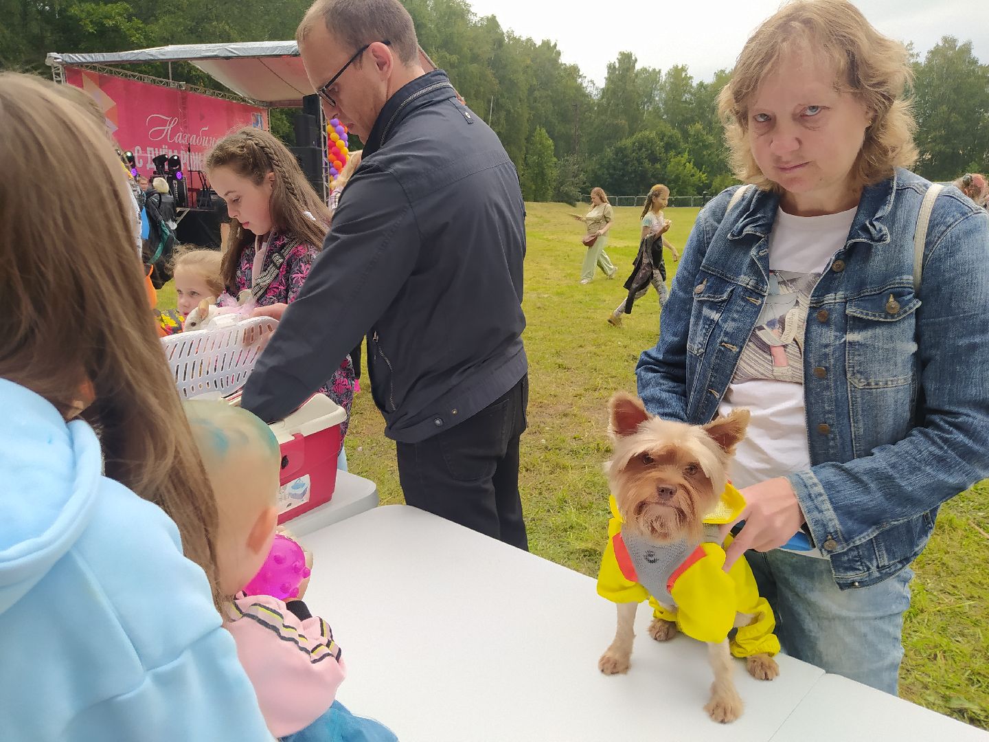 нахабино, животные, выставка, день города,