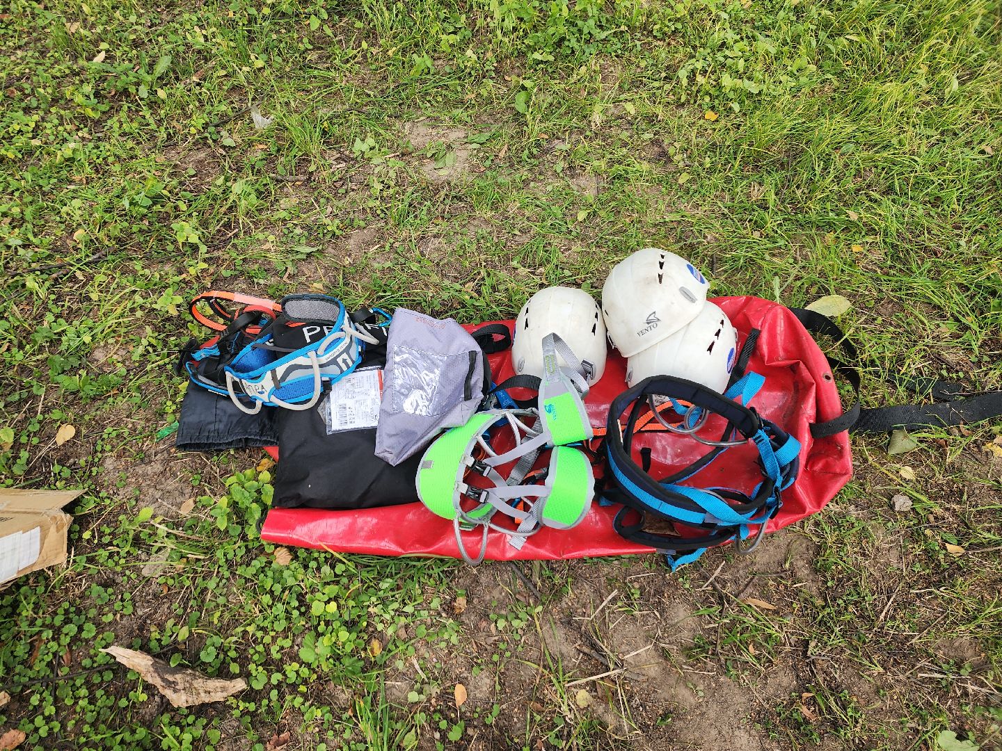 волонтер, пушкино, день города,