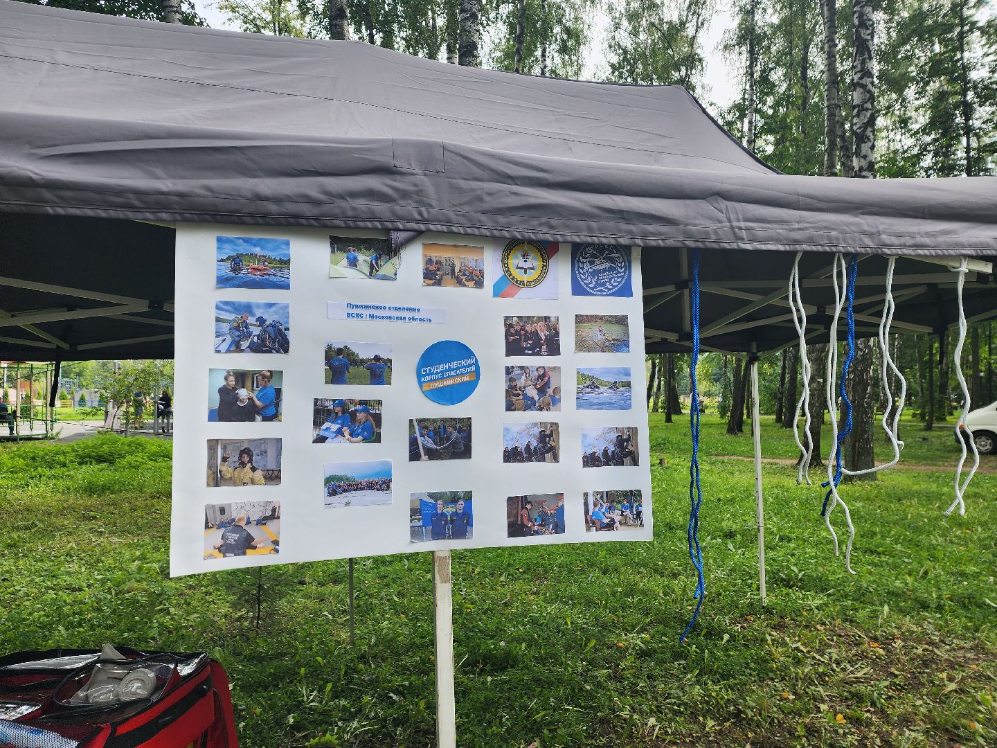 волонтер, пушкино, день города,