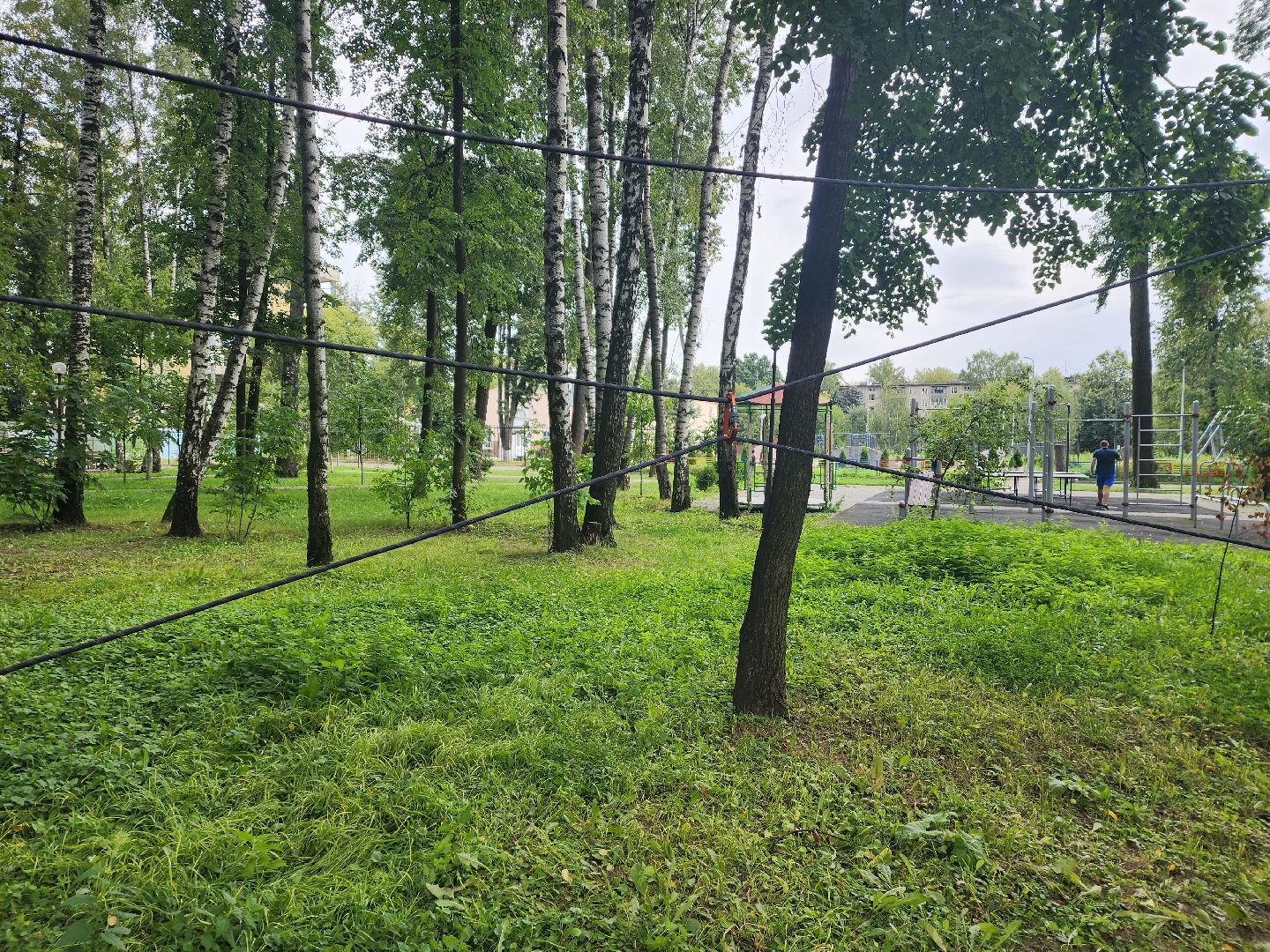 волонтер, пушкино, день города,