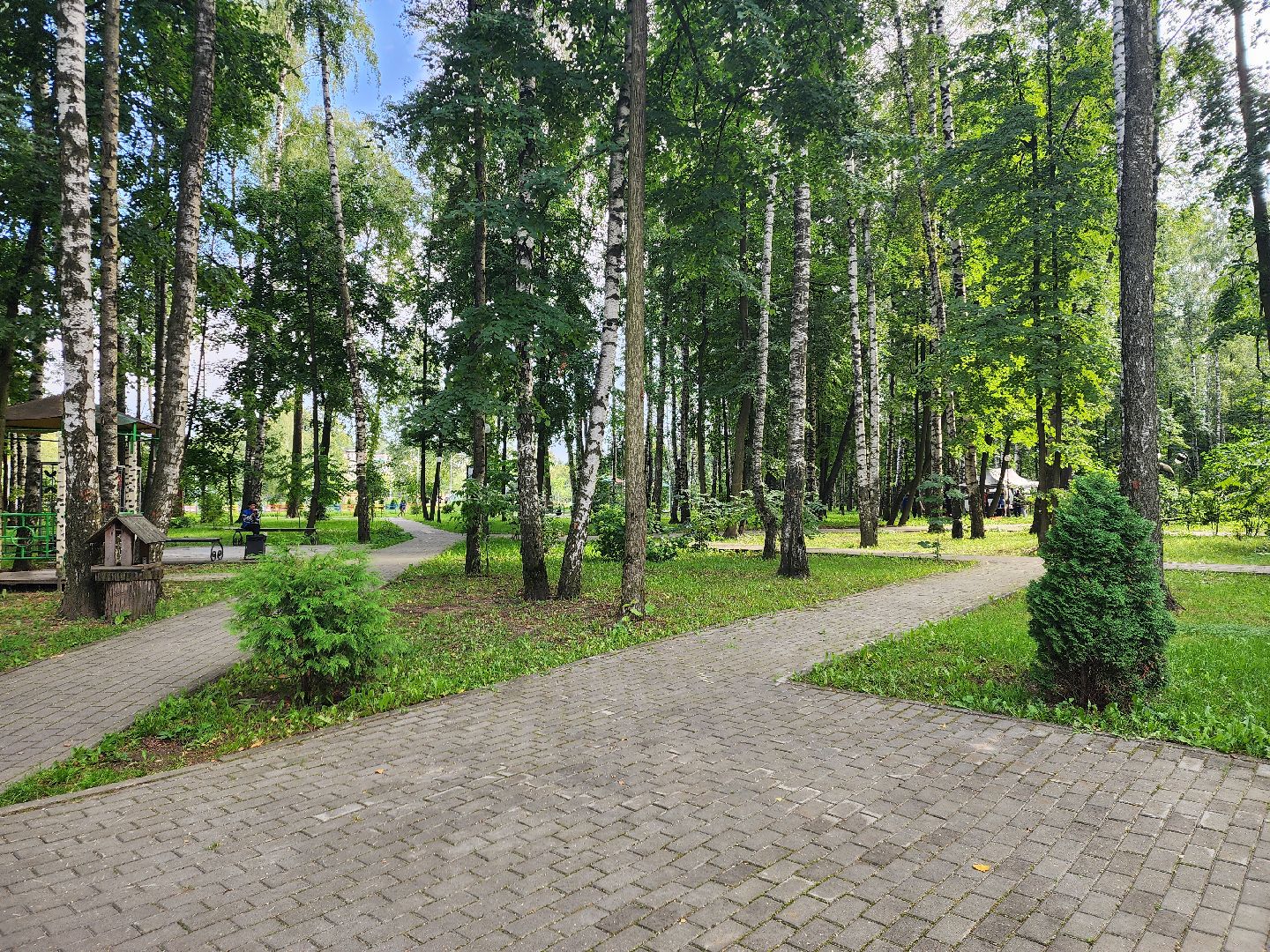 день города, пушкино, дети, артисты,