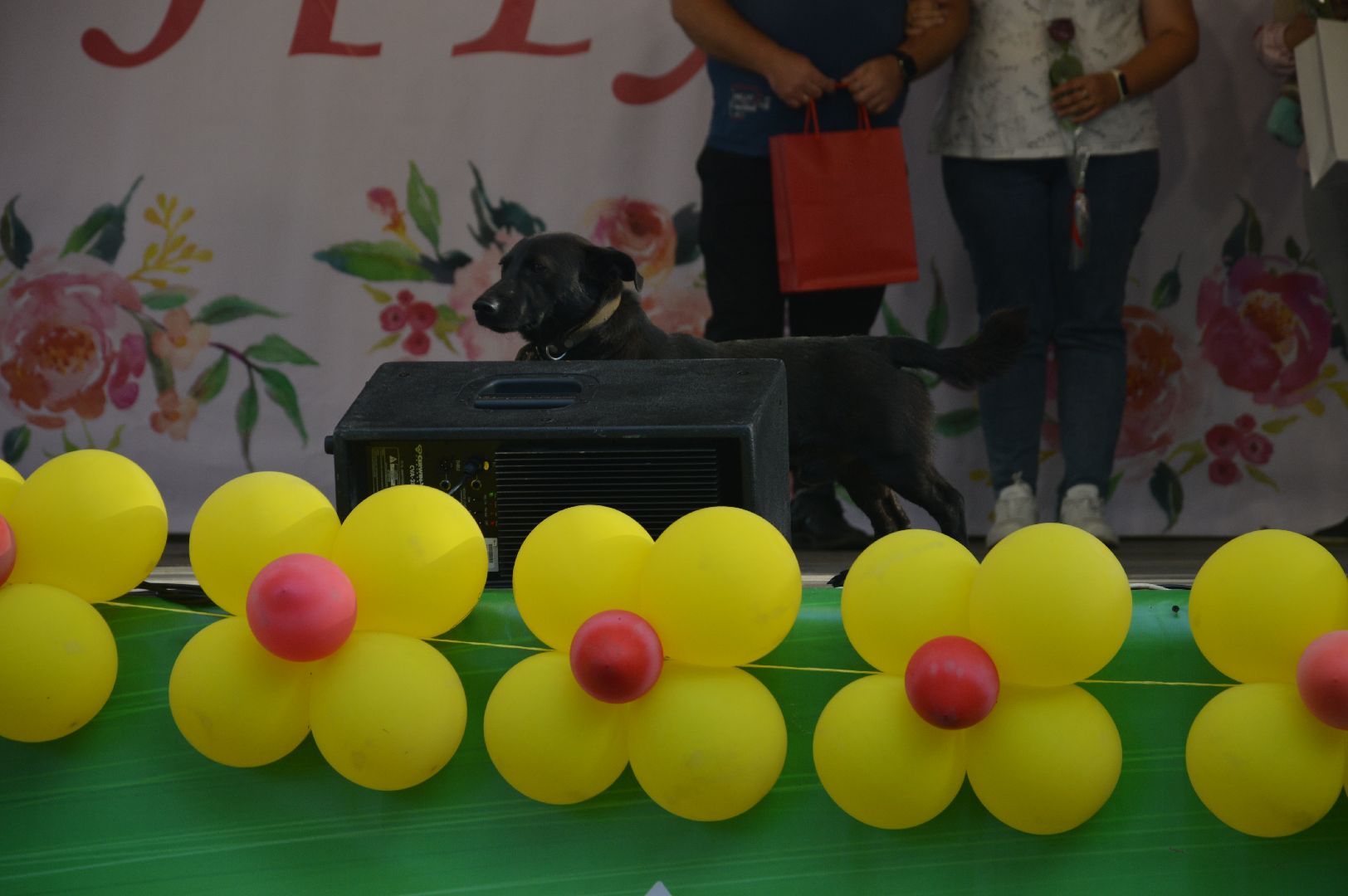 Шатура, Шатурторф, День посёлка, 105 лет