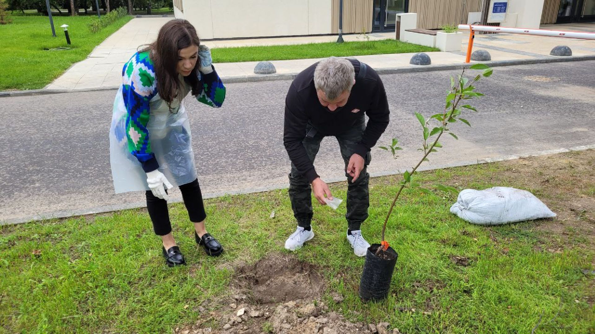 посадка; вишнёвый сад; ВПЦ; видное; подарок