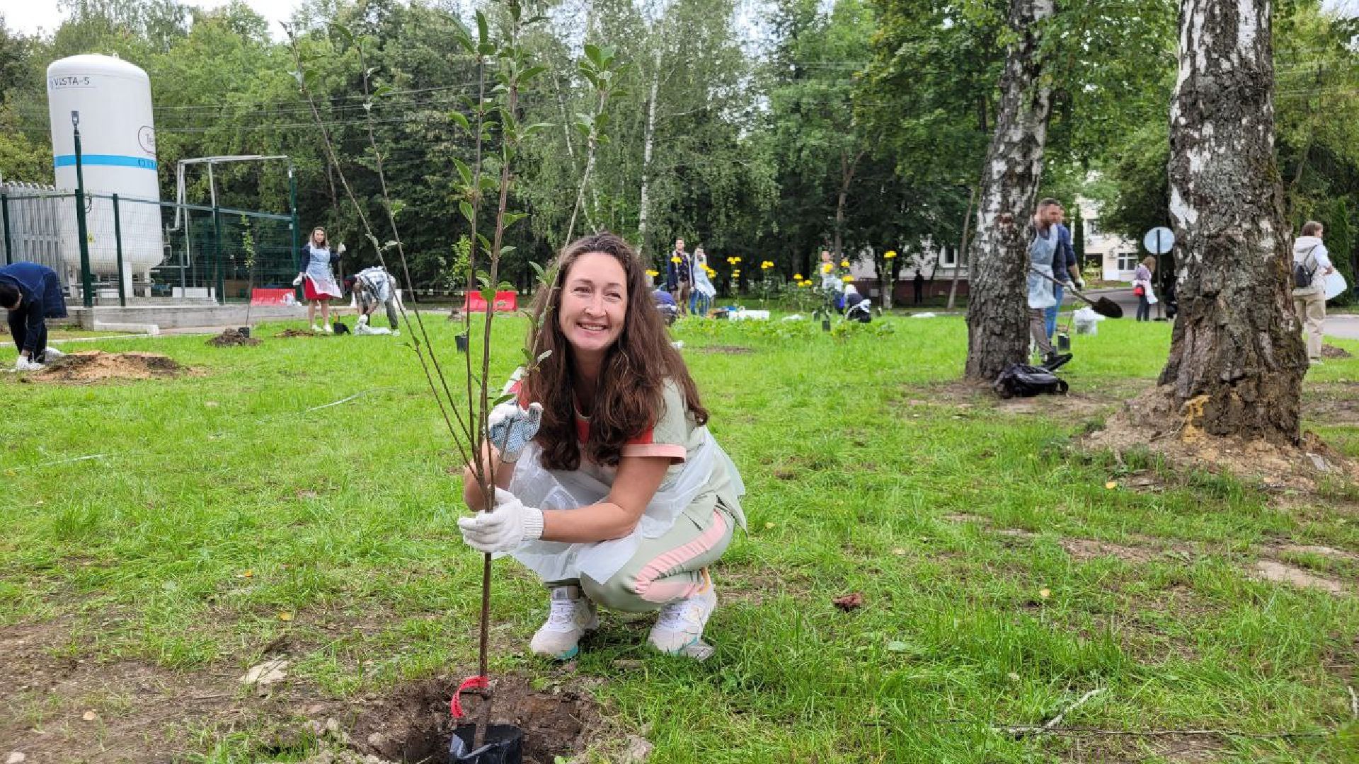 посадка; вишнёвый сад; ВПЦ; видное; подарок