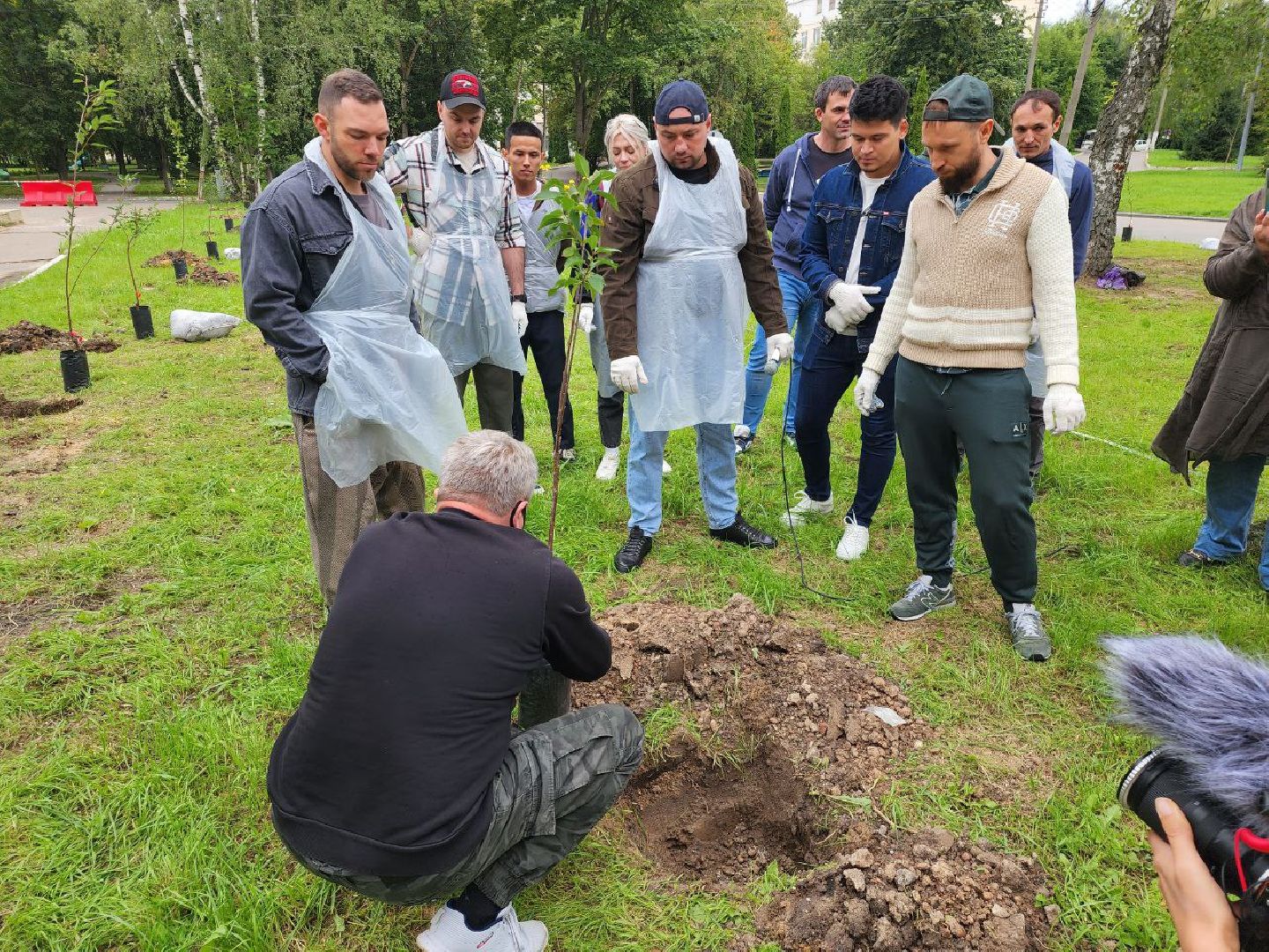 посадка; вишнёвый сад; ВПЦ; видное; подарок