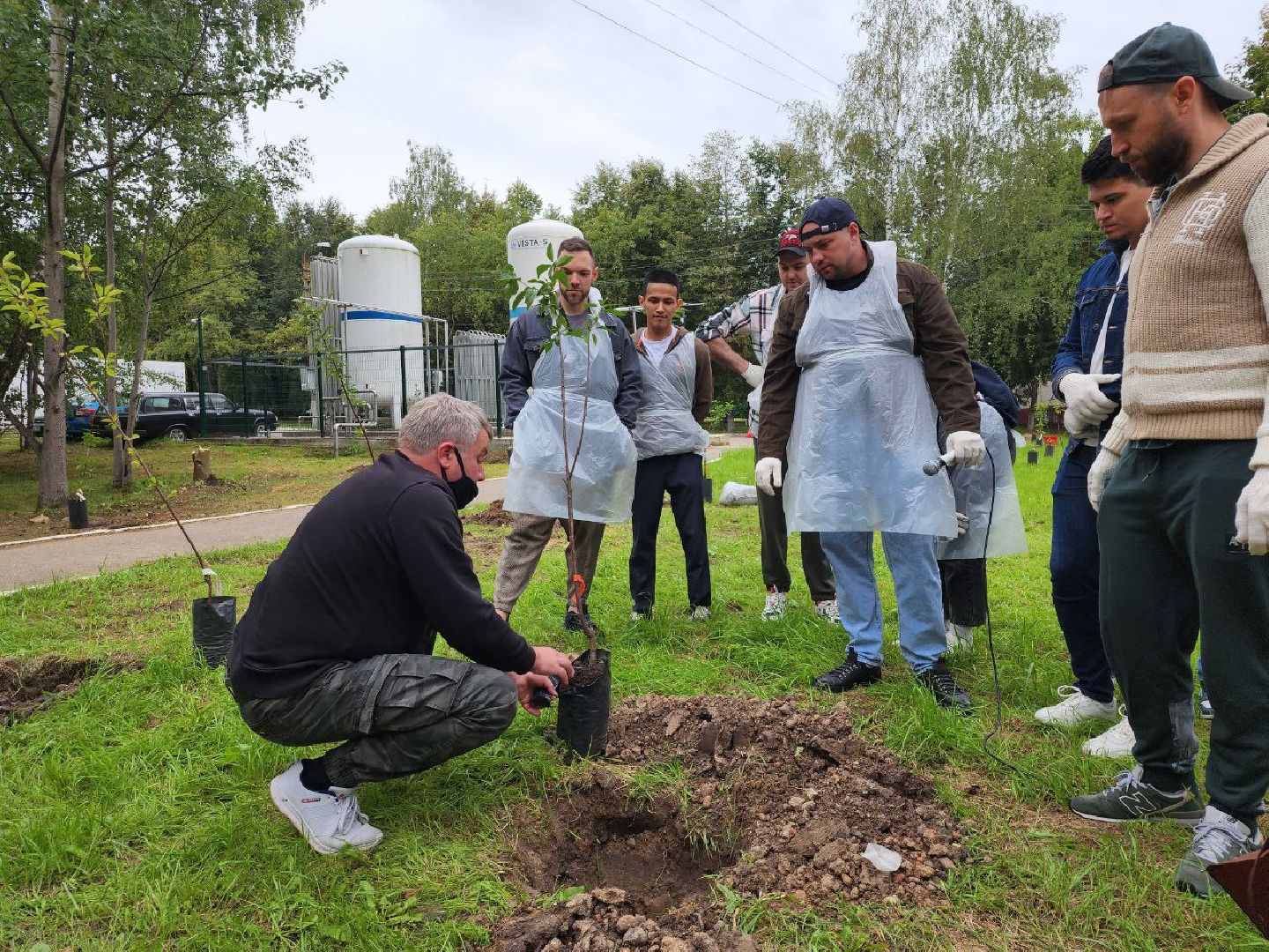 посадка; вишнёвый сад; ВПЦ; видное; подарок