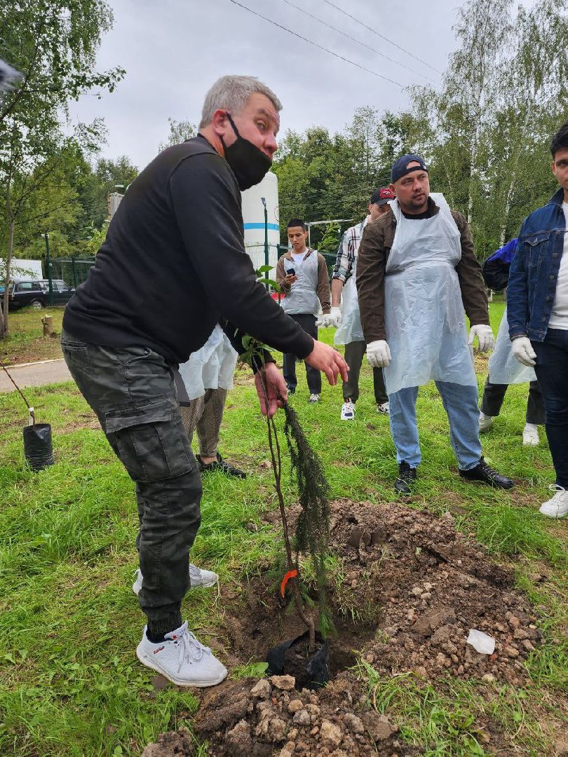 посадка; вишнёвый сад; ВПЦ; видное; подарок