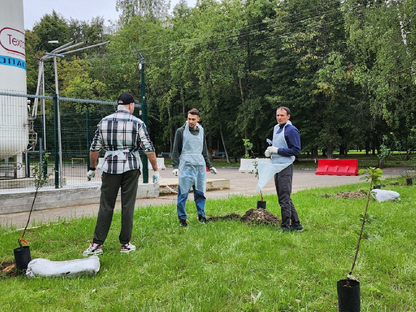 посадка; вишнёвый сад; ВПЦ; видное; подарок