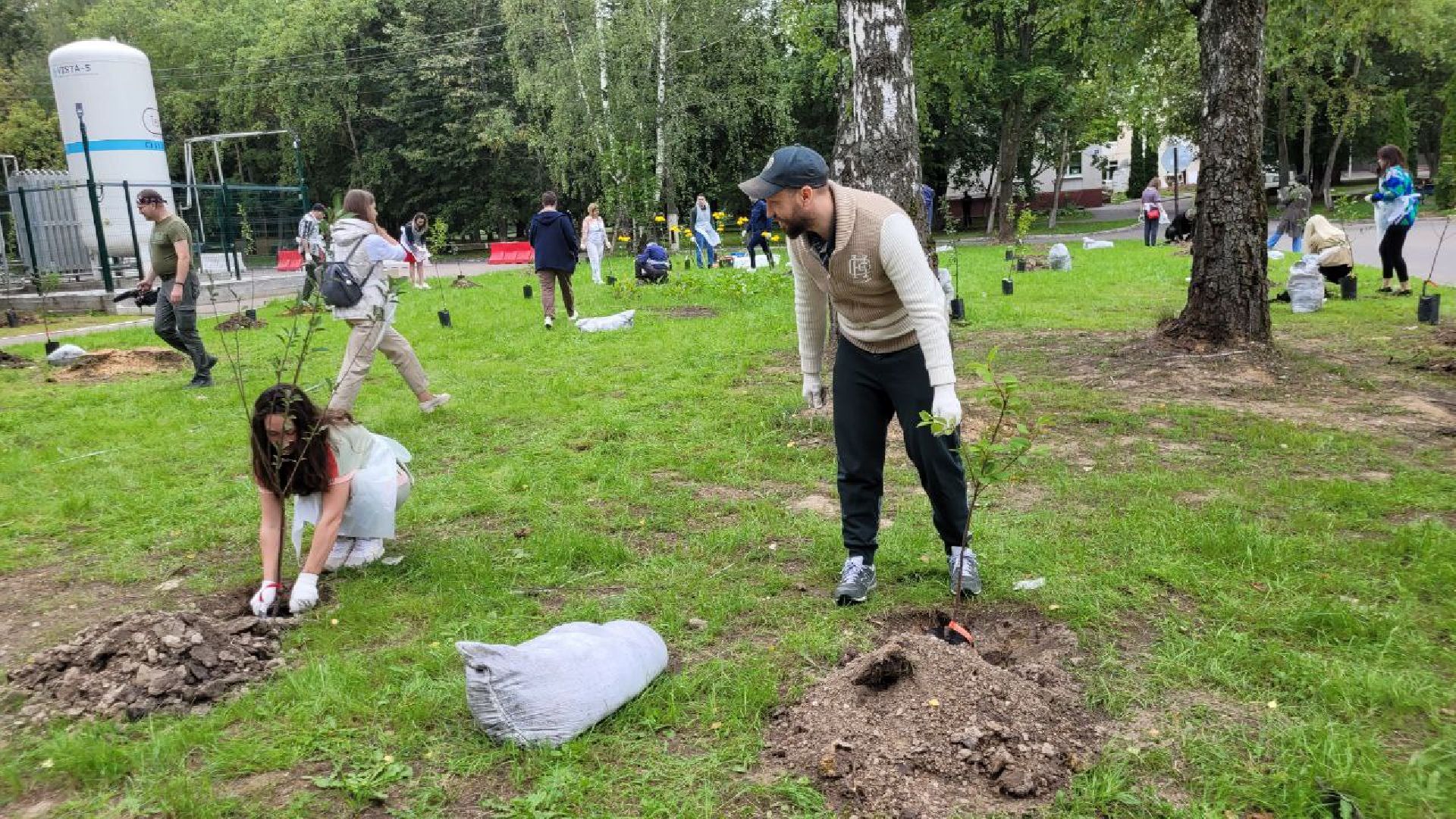 посадка; вишнёвый сад; ВПЦ; видное; подарок