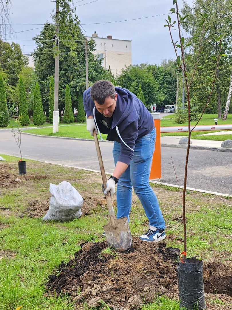 посадка; вишнёвый сад; ВПЦ; видное; подарок