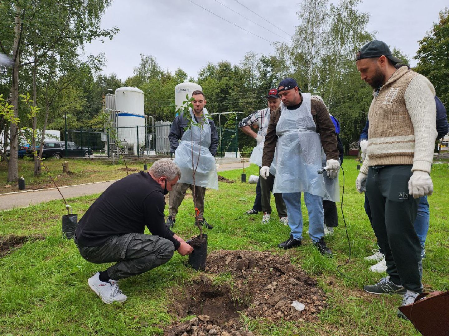 посадка; вишнёвый сад; ВПЦ; видное; подарок