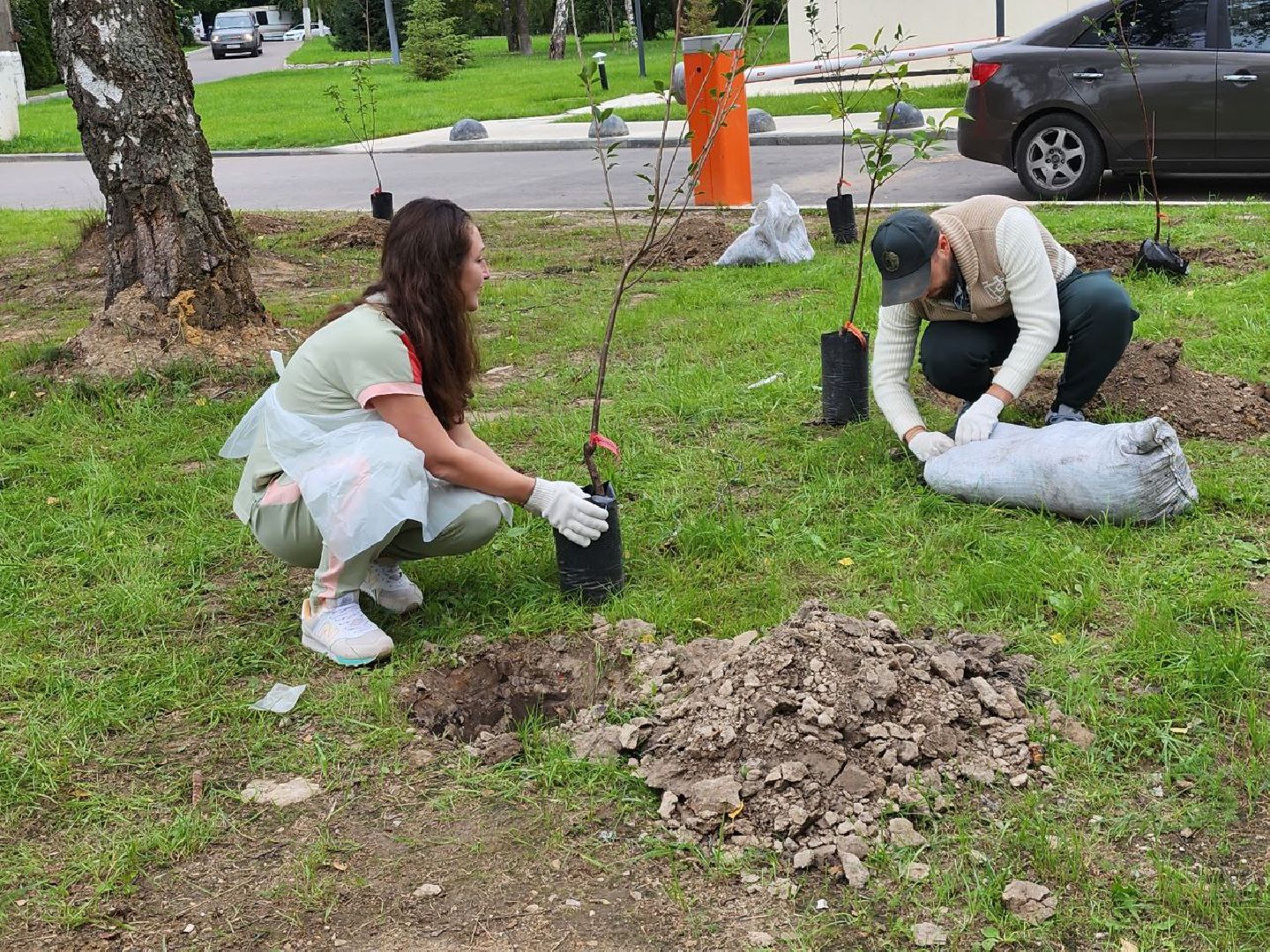 посадка; вишнёвый сад; ВПЦ; видное; подарок