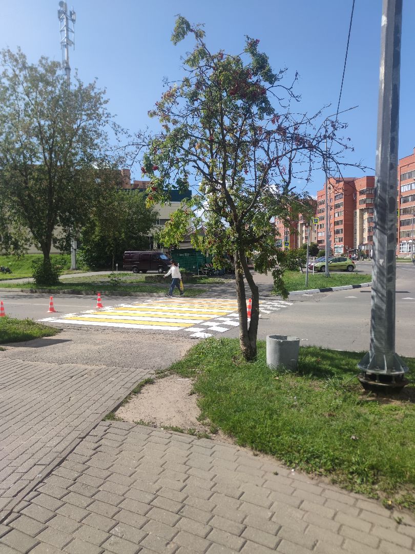 Разметка, дорожные работы, коммунальщики, Дубна