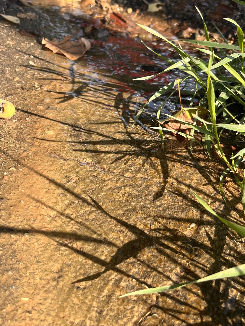 Руза, рузский городской округ, тучково, жкх, коммунальщики, московская область, подмосковье,