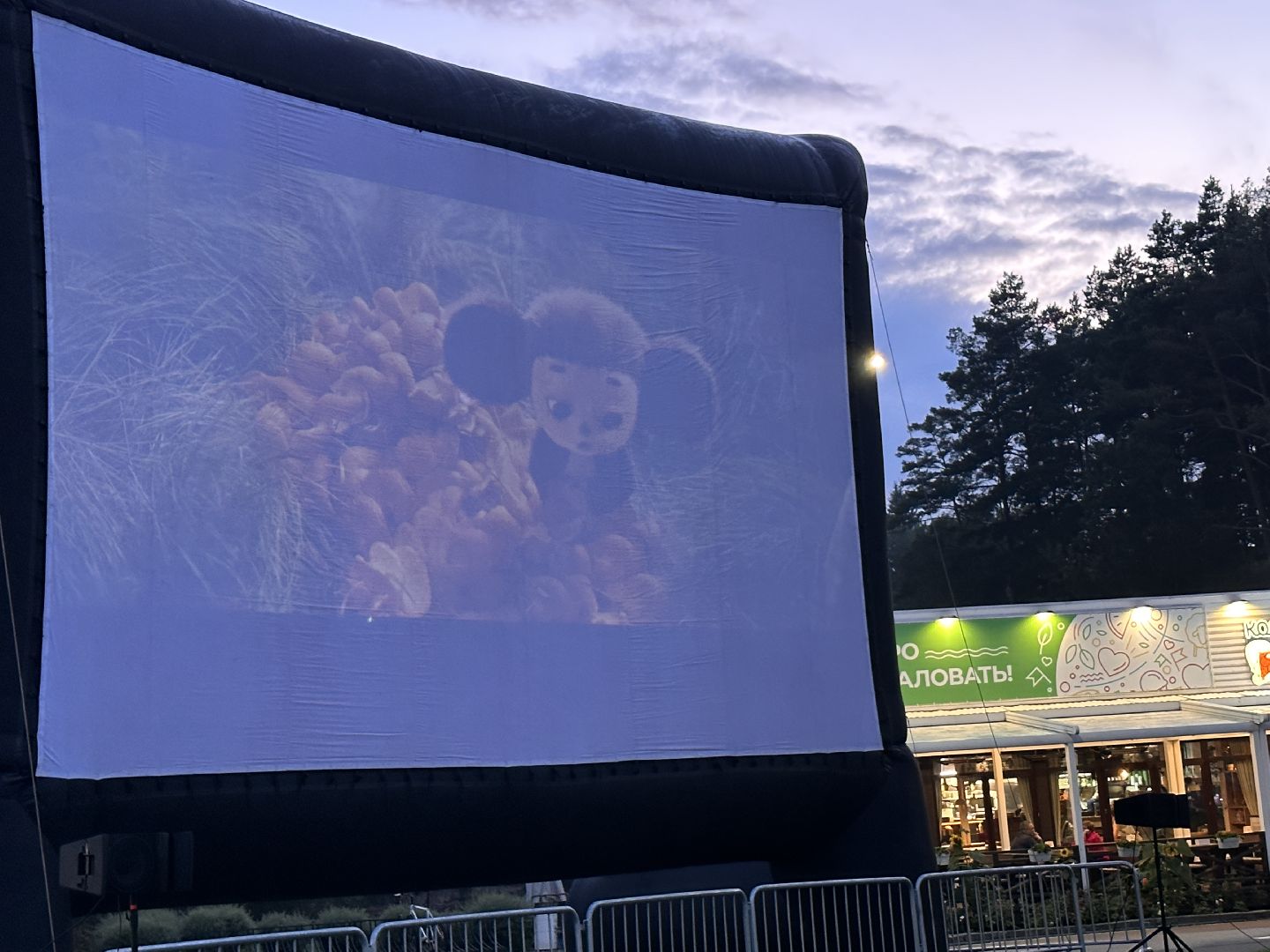 Одинцово, Ночь кино, Парки Подмосковья, Культура