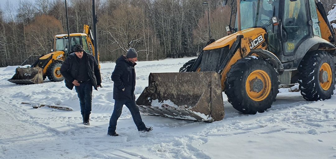 Парки Подмосковья, реконструкция парка, городской лес