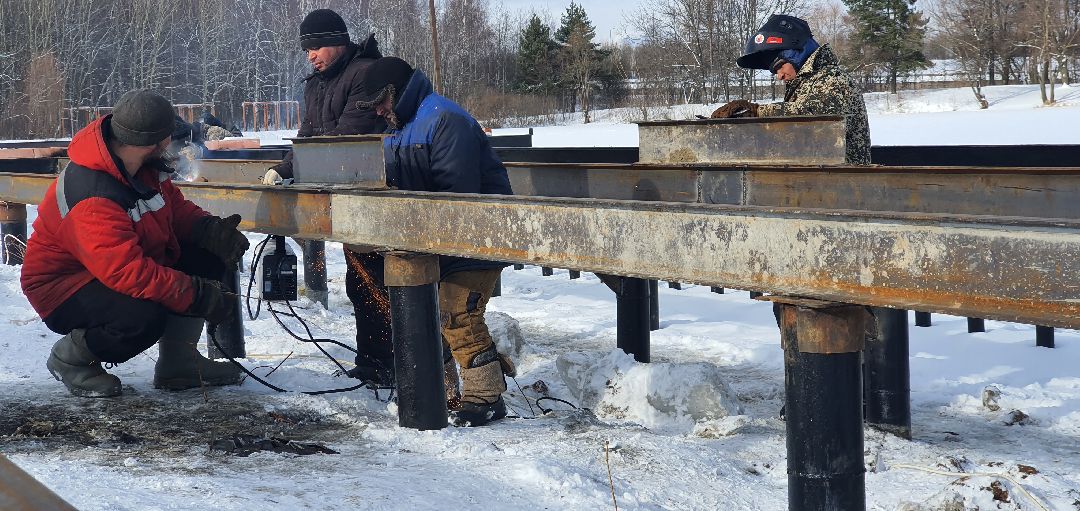 Парки Подмосковья, реконструкция парка, городской лес