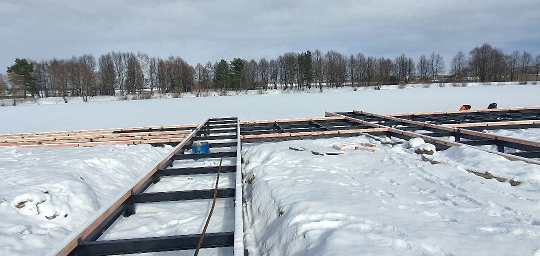 Парки Подмосковья, реконструкция парка, городской лес