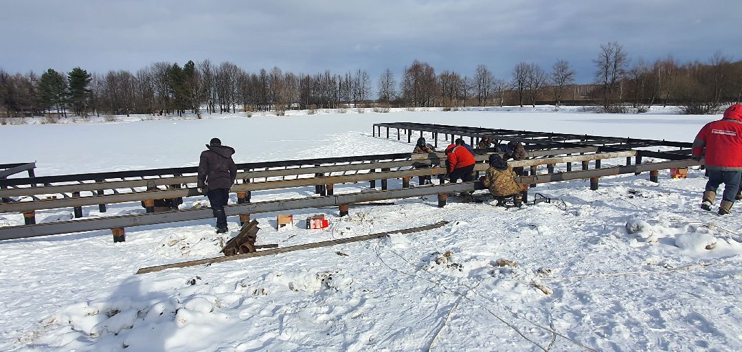 Парки Подмосковья, реконструкция парка, городской лес