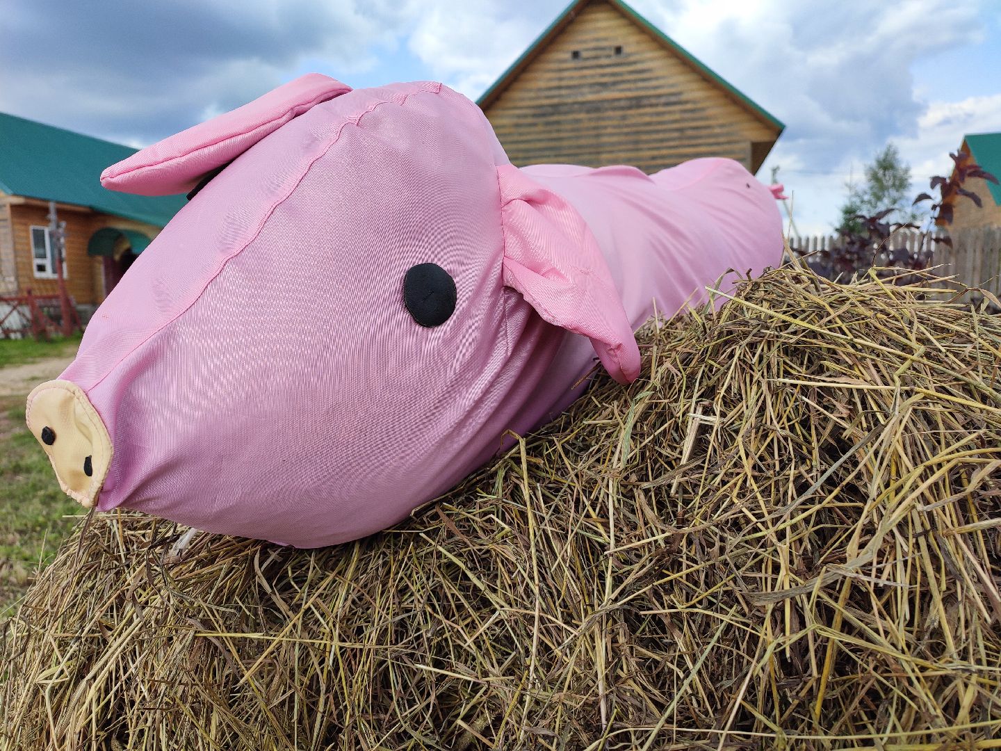 #ачс, #свиньи, #талдомскийокруг, #учения, #ветеринар