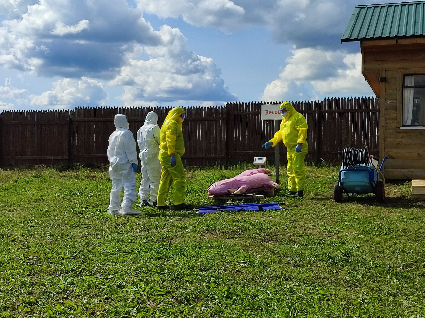 #ачс, #свиньи, #талдомскийокруг, #учения, #ветеринар