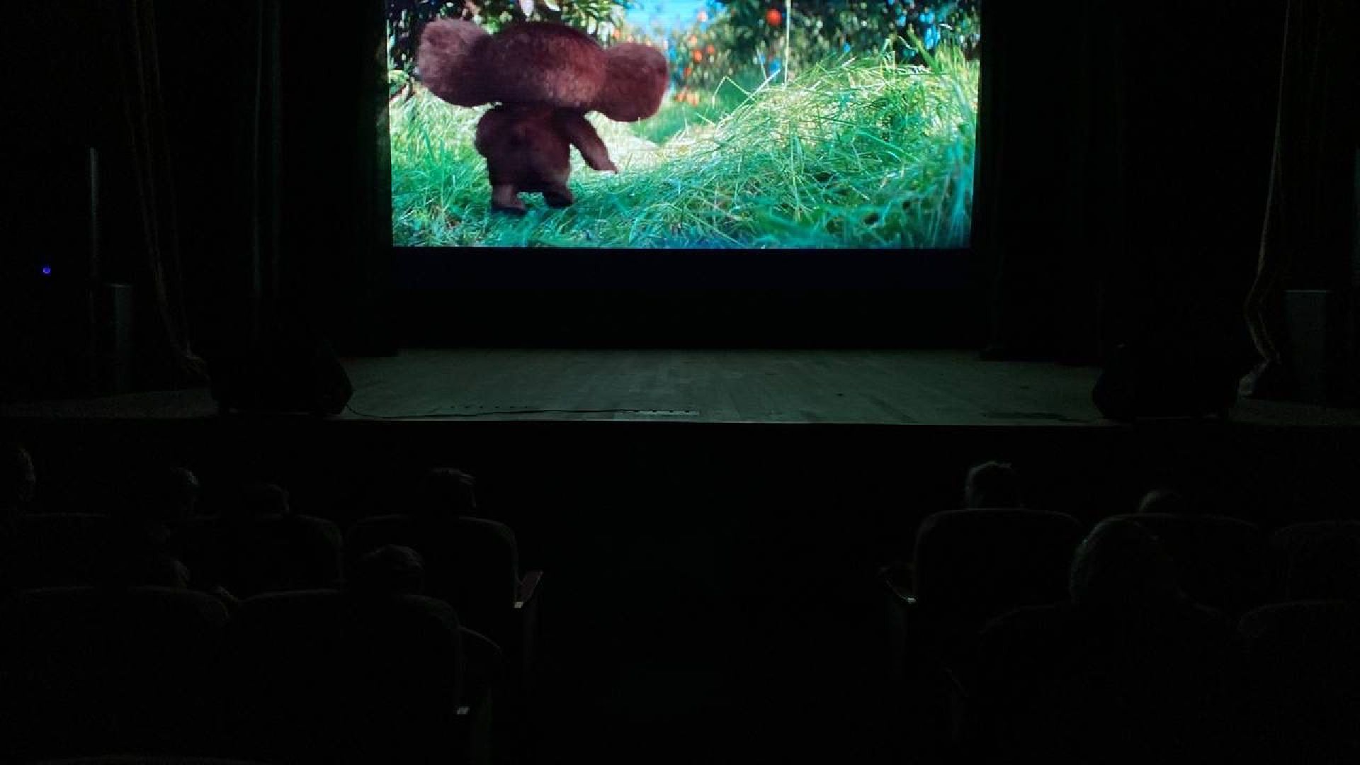 Шатура, Рошаль, Ночь в кино, Чебурашка