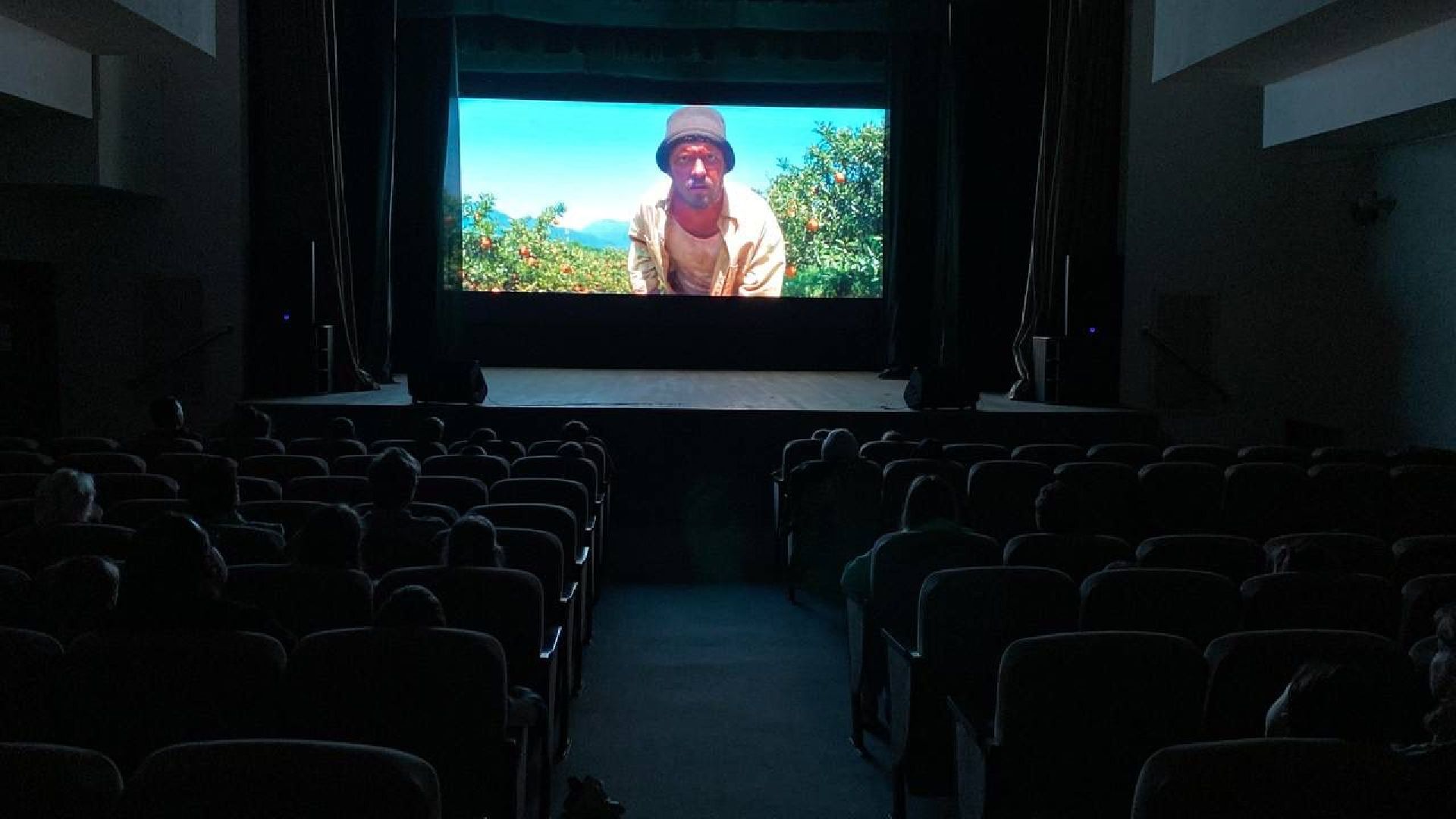 Шатура, Рошаль, Ночь в кино, Чебурашка