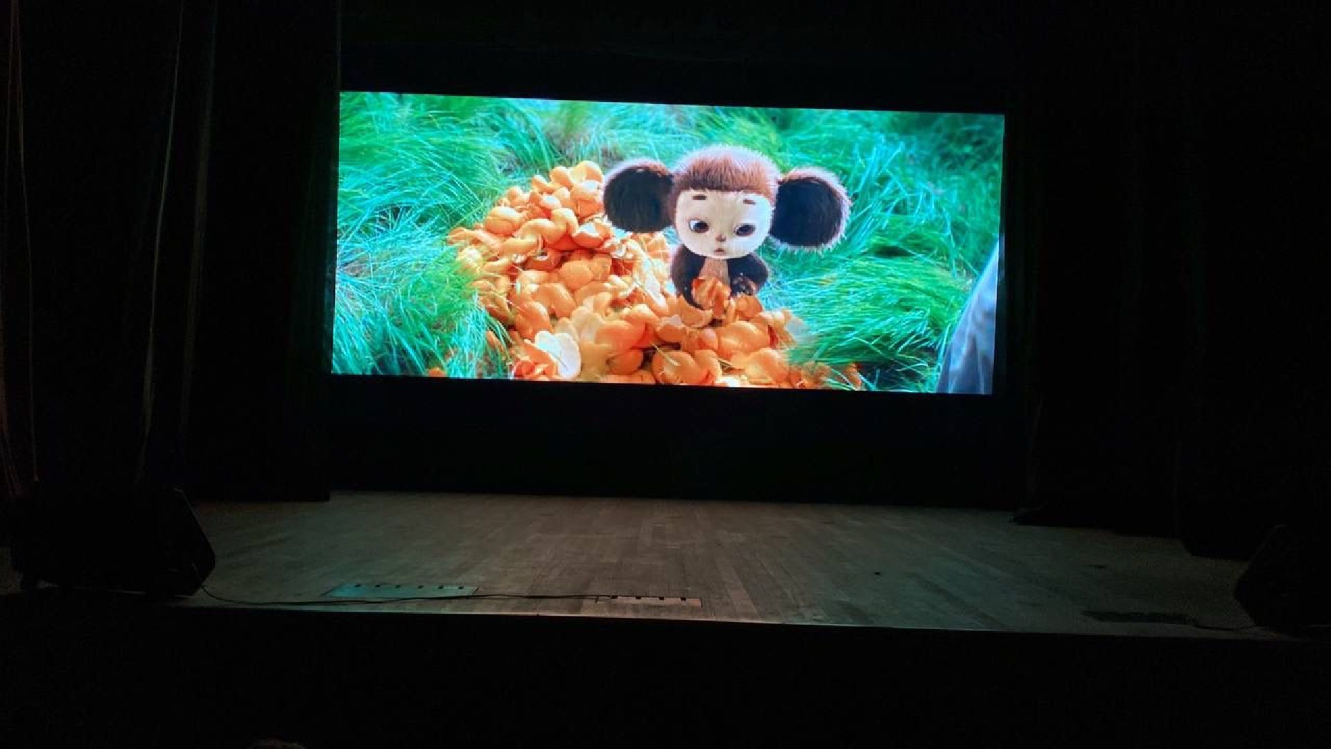 Шатура, Рошаль, Ночь в кино, Чебурашка