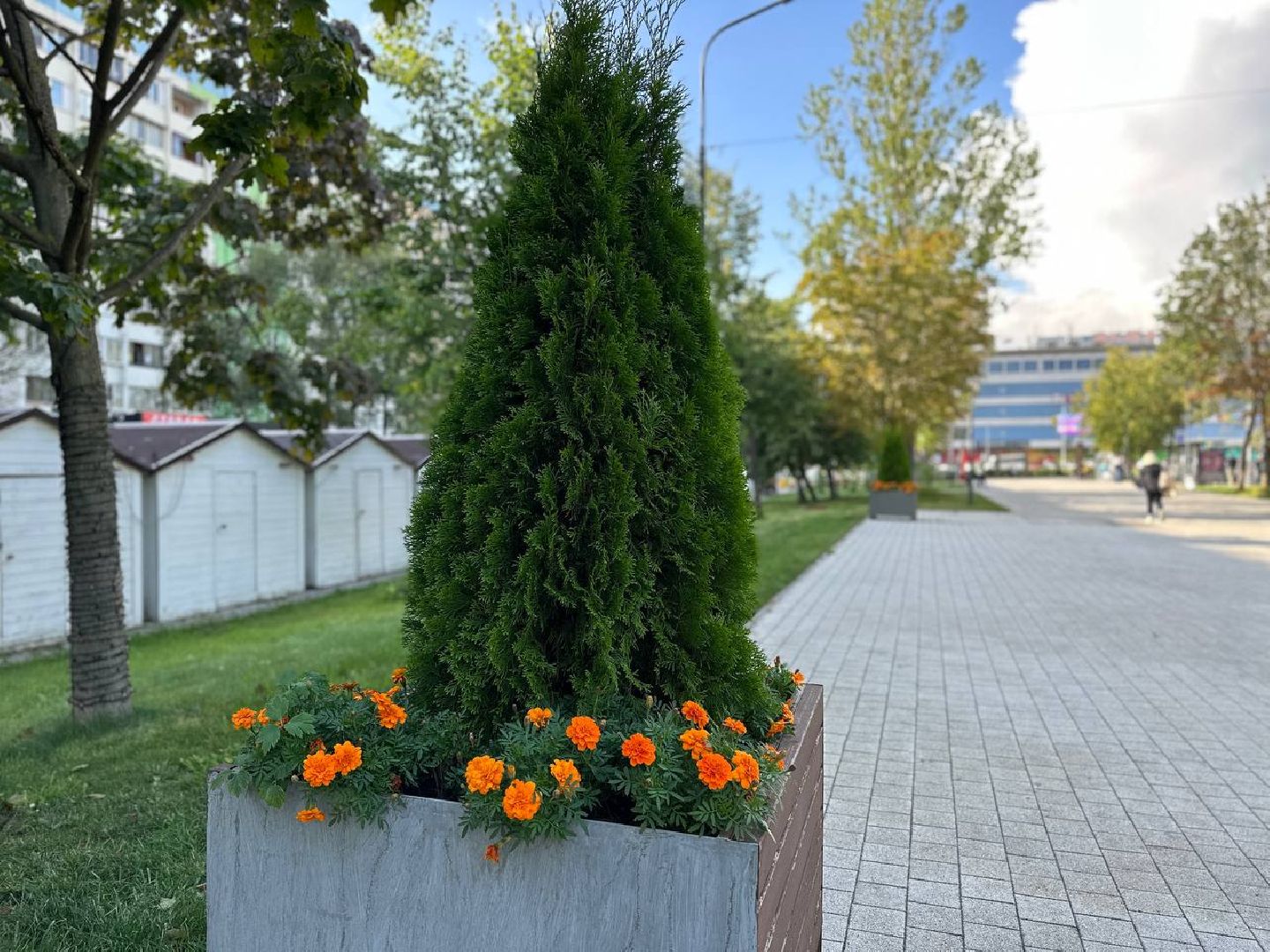 Реутов, МЦД-4, благоустройство, туи