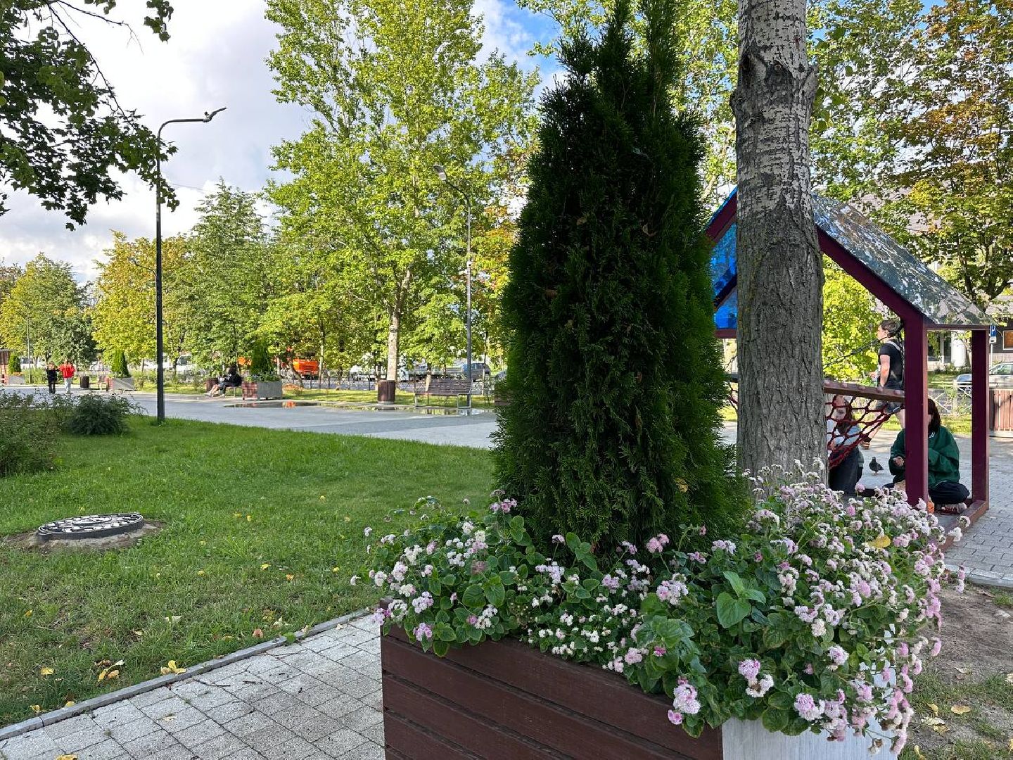 Реутов, МЦД-4, благоустройство, туи