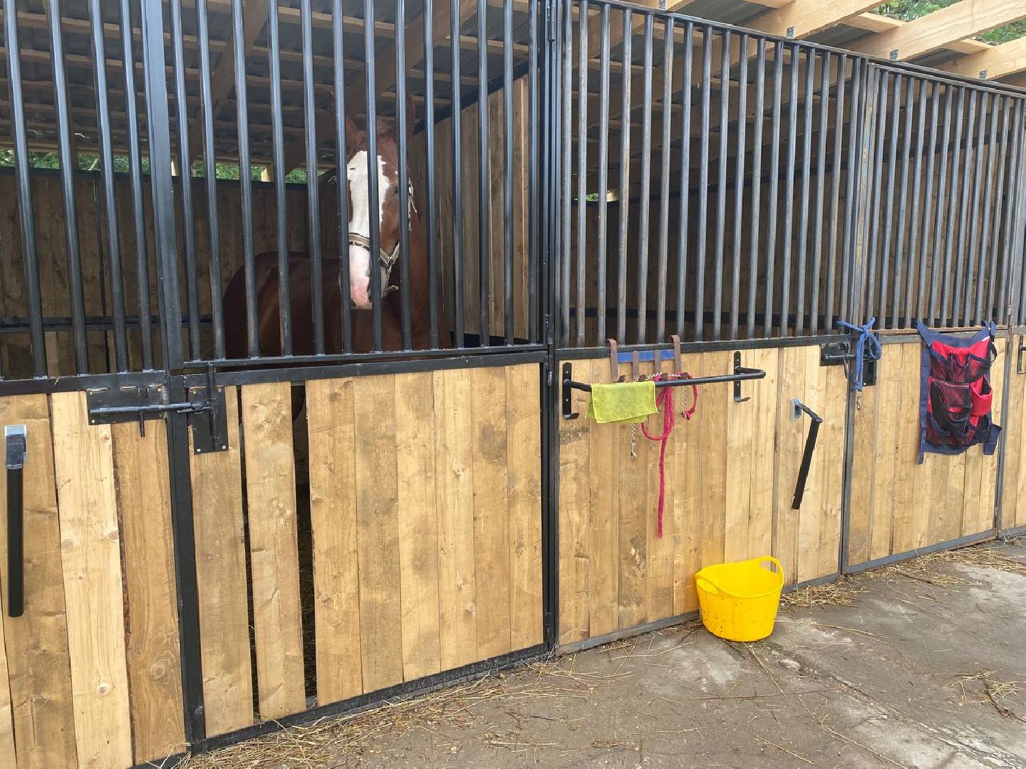 Чехов, берейтор, лошади, тренер, конюшня, завод, конный спорт