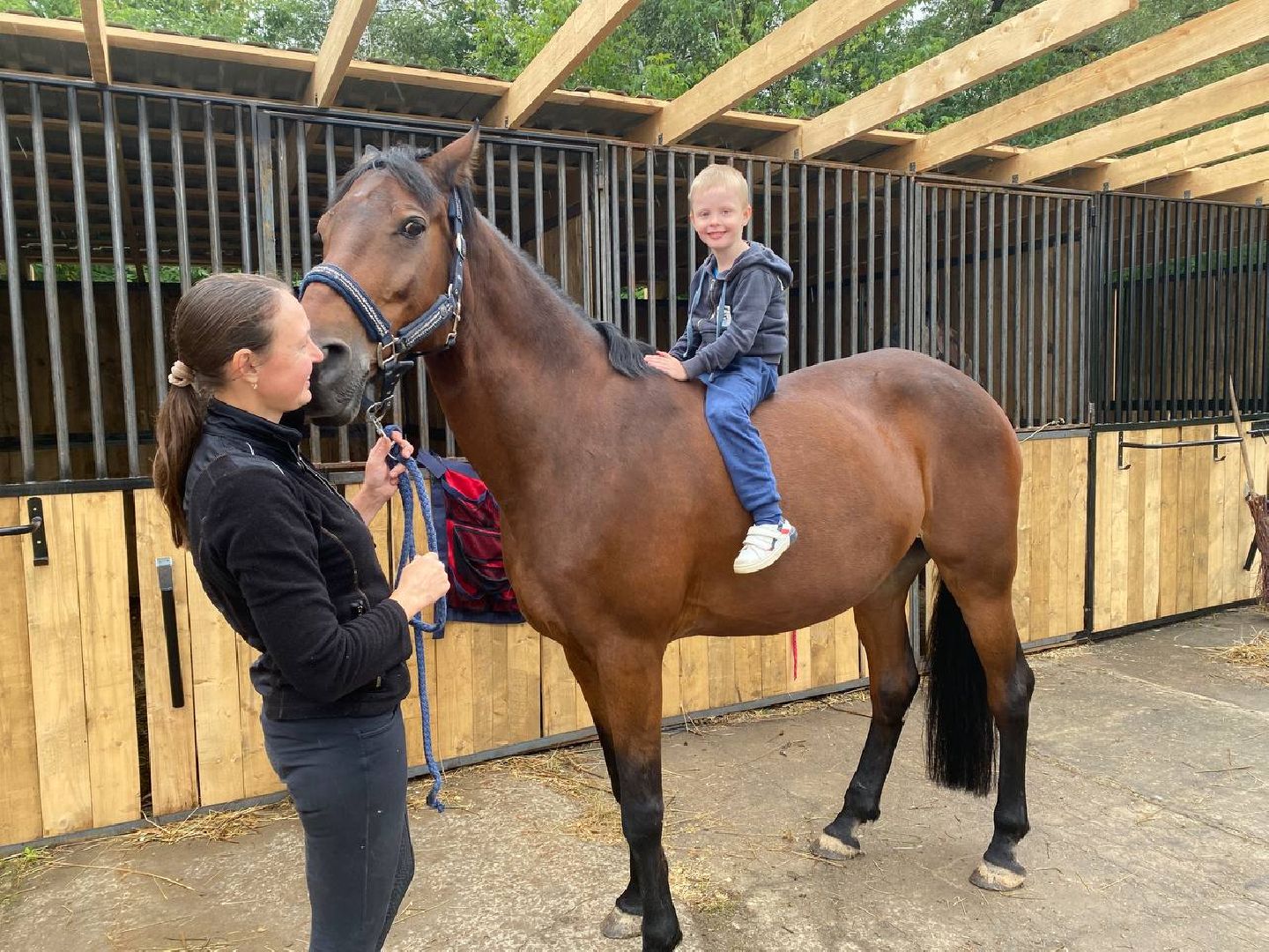 Чехов, берейтор, лошади, тренер, конюшня, завод, конный спорт