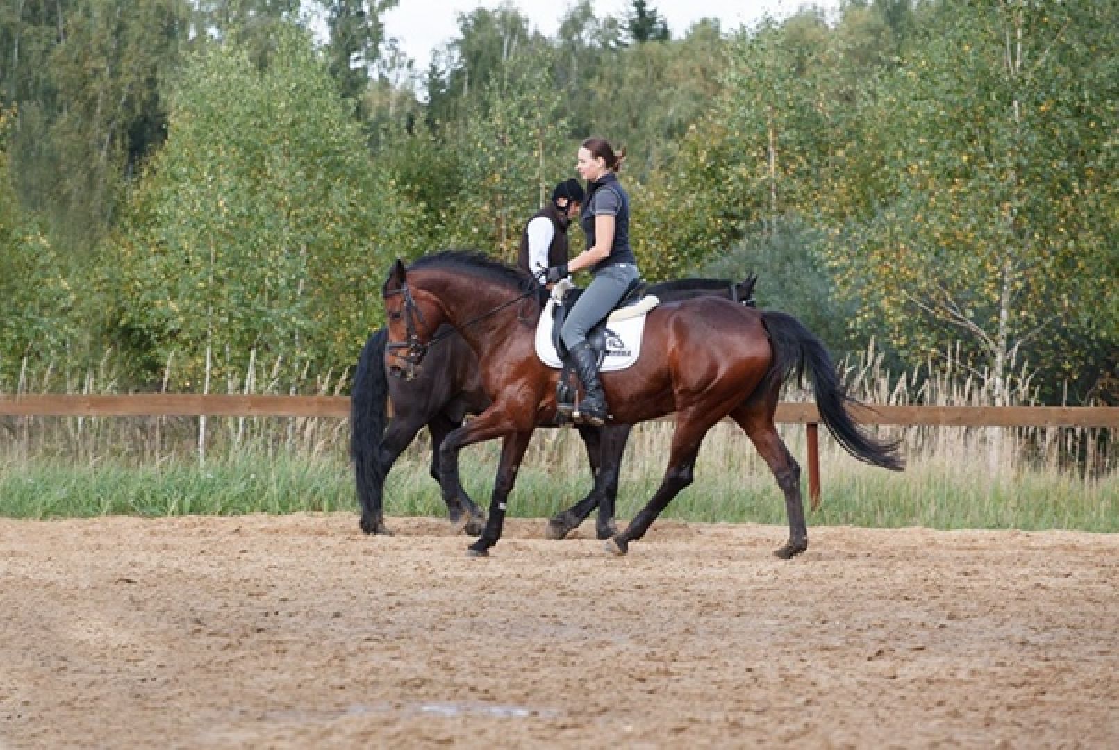 Чехов, берейтор, лошади, тренер, конюшня, завод, конный спорт