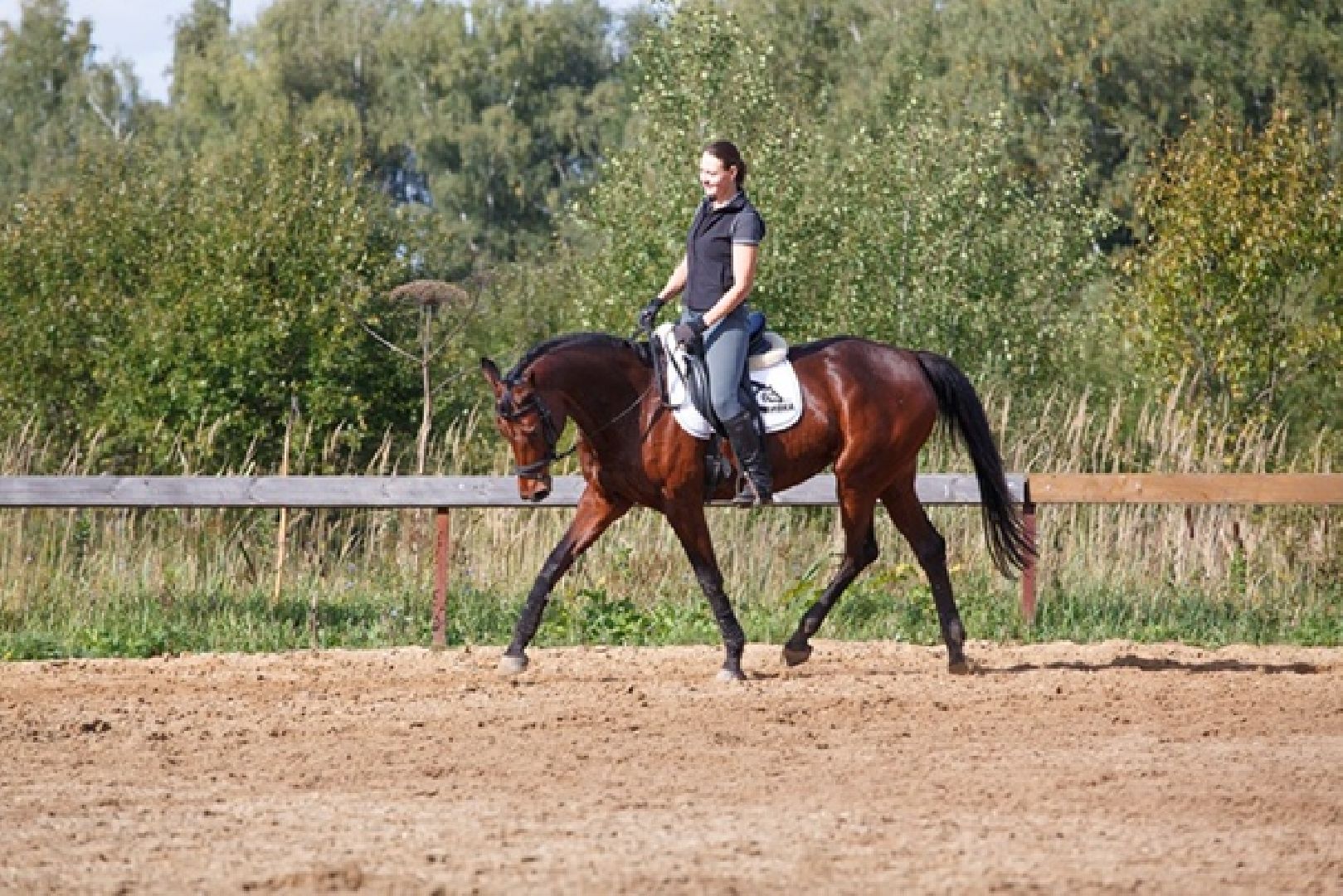 Чехов, берейтор, лошади, тренер, конюшня, завод, конный спорт