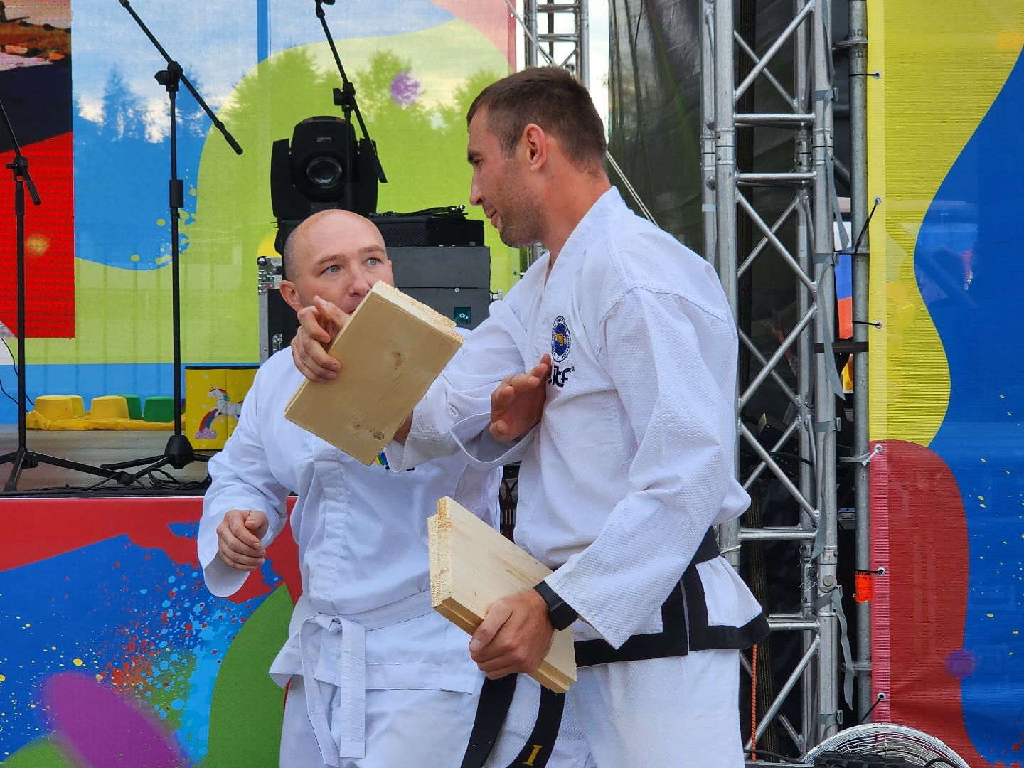 Тхэквондо; горки ленинские; спортсмены; спорт; молодёжь