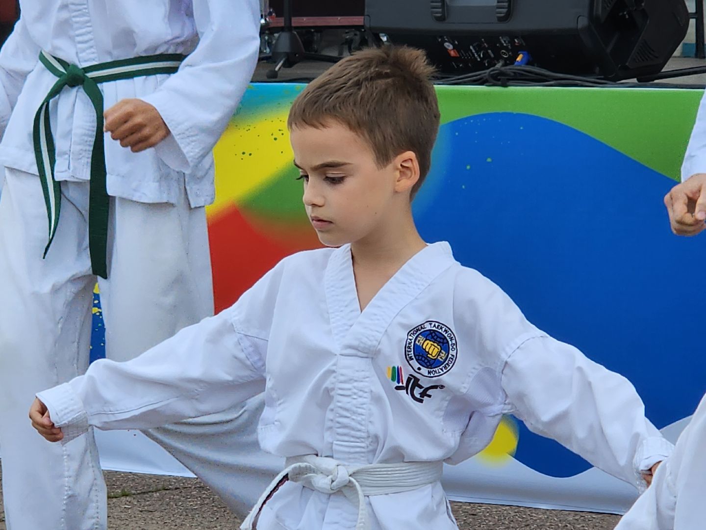 Тхэквондо; горки ленинские; спортсмены; спорт; молодёжь