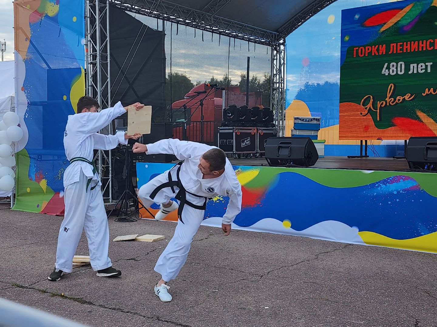 Тхэквондо; горки ленинские; спортсмены; спорт; молодёжь