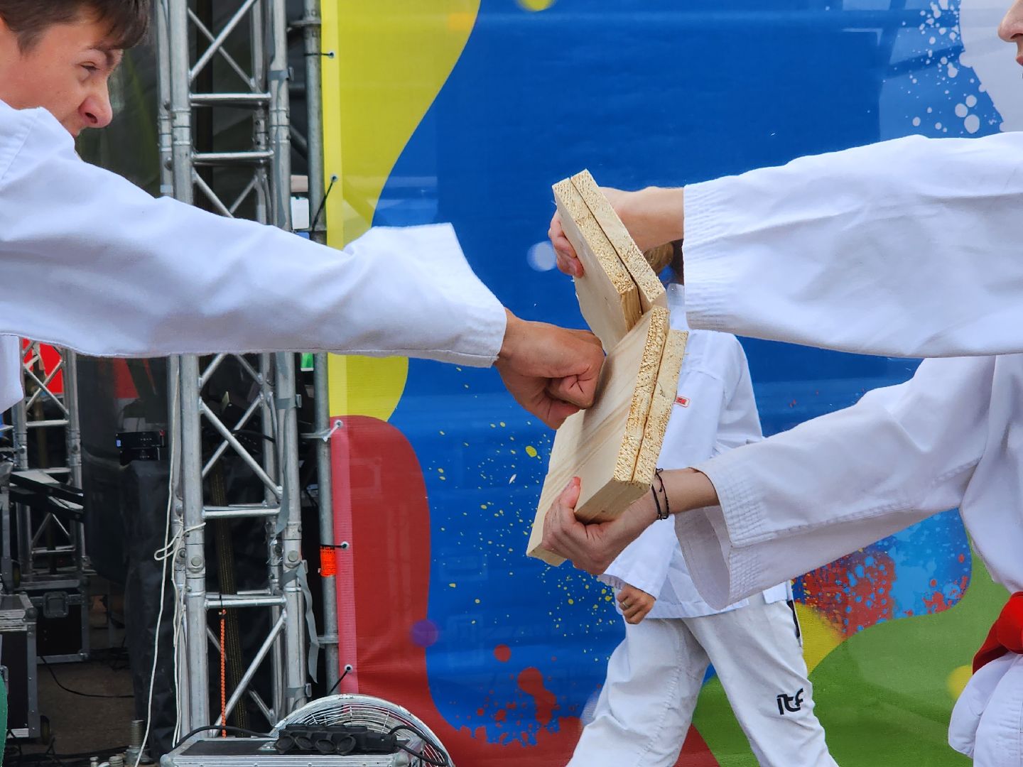 Тхэквондо; горки ленинские; спортсмены; спорт; молодёжь