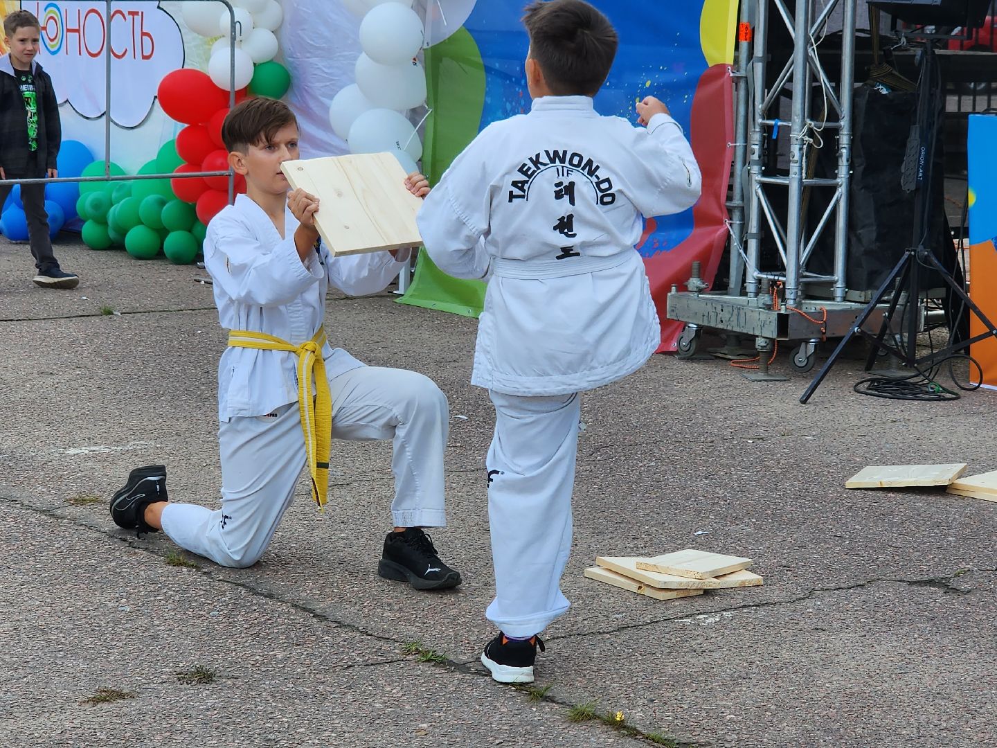 Тхэквондо; горки ленинские; спортсмены; спорт; молодёжь