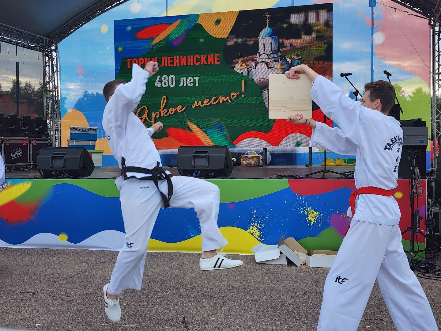 Тхэквондо; горки ленинские; спортсмены; спорт; молодёжь