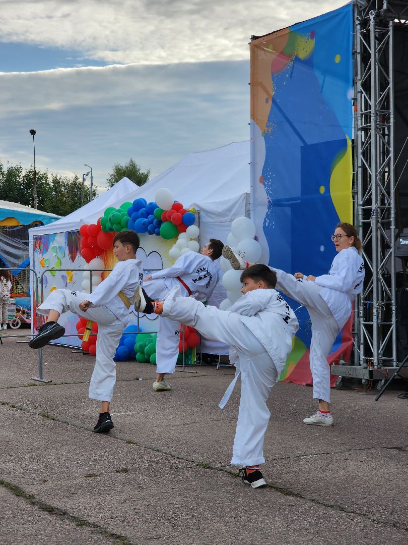 Тхэквондо; горки ленинские; спортсмены; спорт; молодёжь
