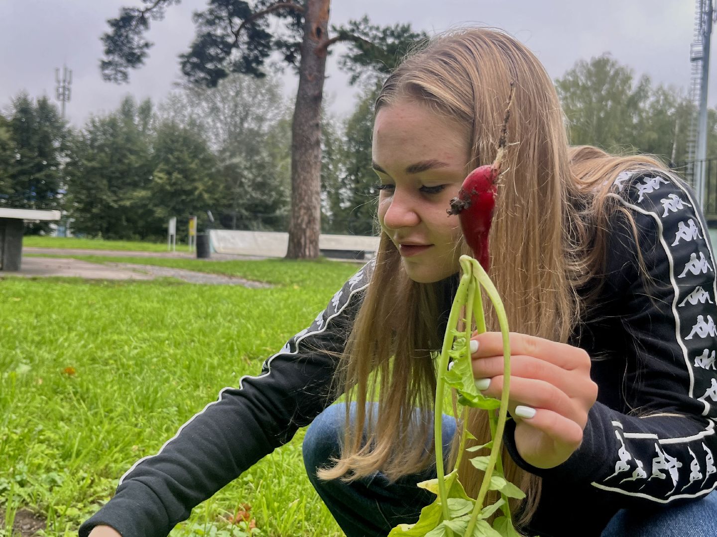 Наро-Фоминск, общественный огород. Центральный парк, урожай, Лето в Подмосковье
