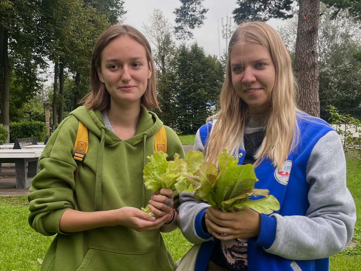 Наро-Фоминск, общественный огород. Центральный парк, урожай, Лето в Подмосковье