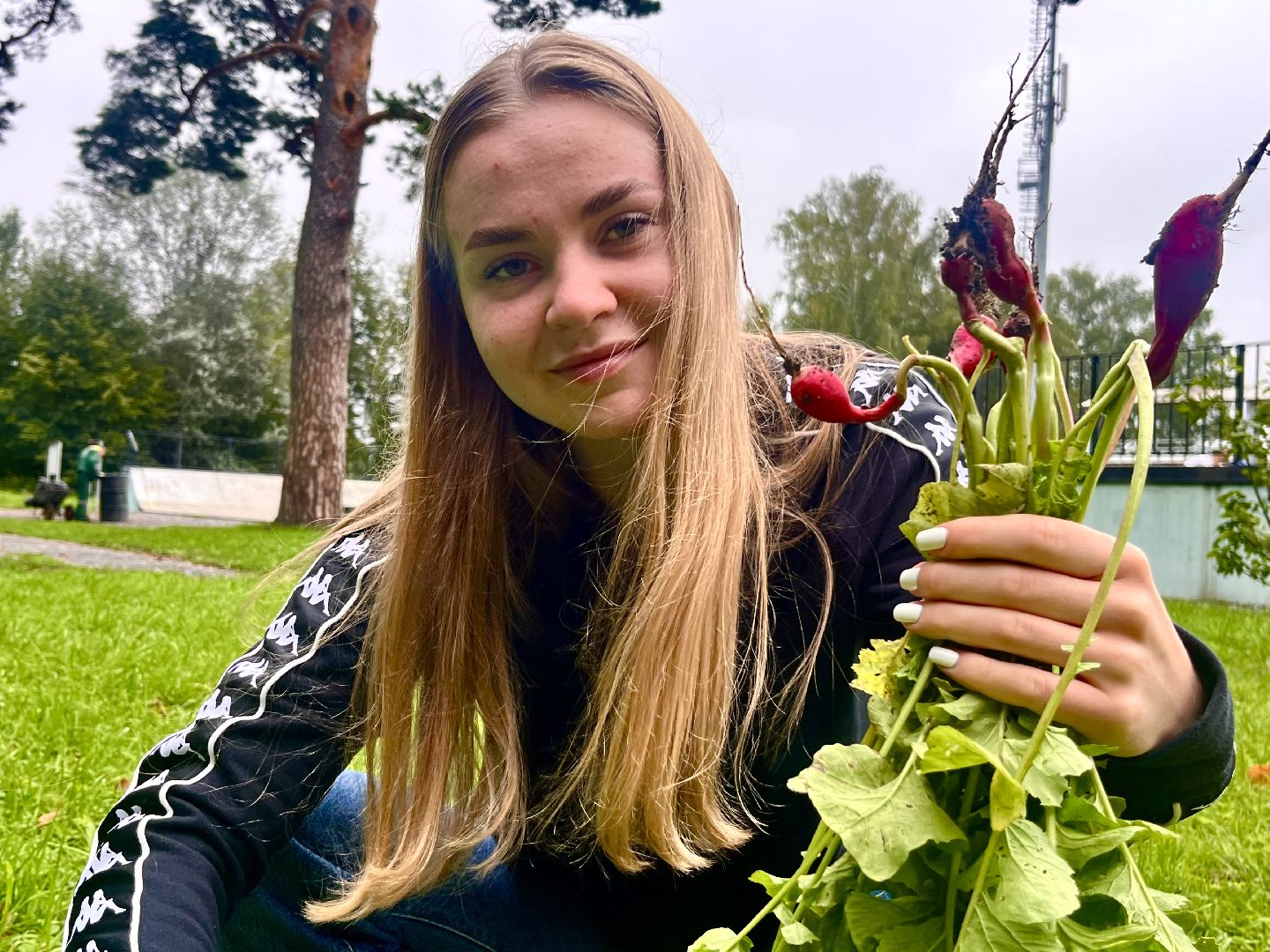 Наро-Фоминск, общественный огород. Центральный парк, урожай, Лето в Подмосковье