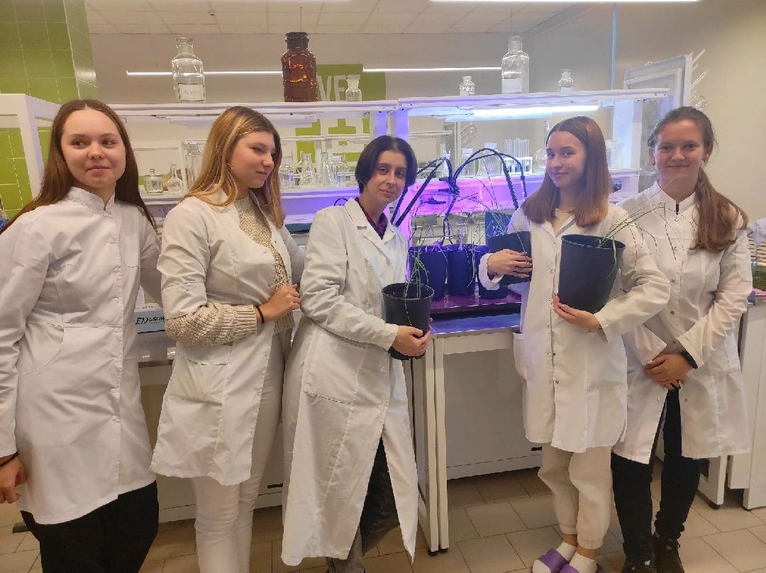 Орбазование, сельское хозяйство, коломна