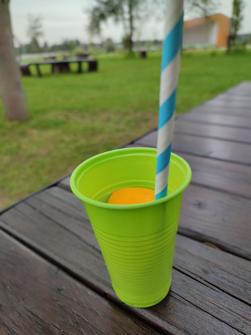 #лимонад, #лимон, #парксолнечныйберег, #талдомскийокруг, #дегустация